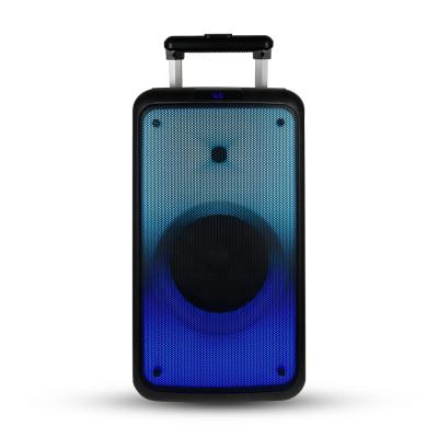 China Home Video Trolley Speakers TWS Portable DJ Call BT Party Outdoor Wireless Speaker 8 Inch LED Fire Lighting for sale