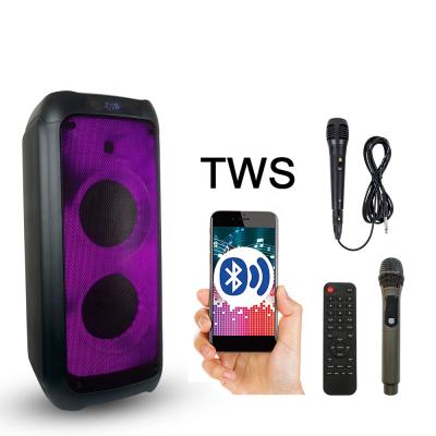 China 2021 Promotion Video Price Feiyang Outdoor Call Speaker Powered Dual 8inch BT TWS 30W FG208-13 Wireless Fire Effect Ignition Speakers for sale