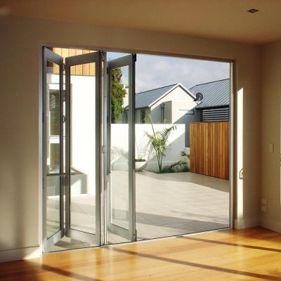 Chine AS2047 Modern Top Selling Modern Home Aluminum Channel Front Proof Hurricane Storm Door à vendre