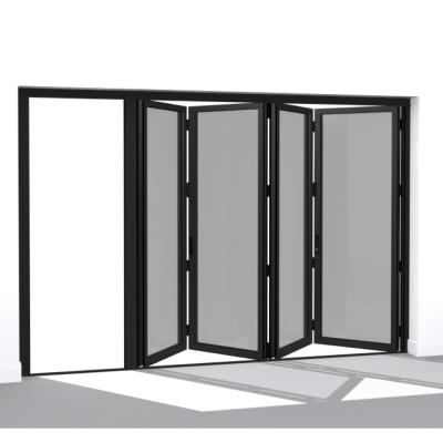 China 2021 Modern New Design Swing Mirrored Bifold Swing Doors For Garage Patio Apartment Te koop