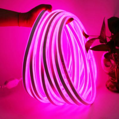 China AC220V 5050 Square LED Strip Light Side Waterproof Simple Flexible LED Lamp Colorful Neon Lamp for sale