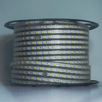 中国 AC 60led 220V LED White Outdoor Waterproof Flexible LED Strip Light for Living Room SMD 5050 販売のため