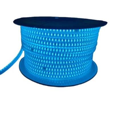 China LANDSCAPE Led Strips No Wire SMD 2835 Green Pink 5730 White Hot Blue Red Waterproof Flexible Led Strip Light for sale