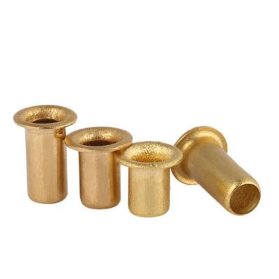 China Stainless Steel Copper Thin Head Semi Tubular Rivets 1.2mm 1.4mm 1.6mm 2mm 2.5mm 3mm 3.5mm 4mm 5mm 6mm 8mm 10mm for sale