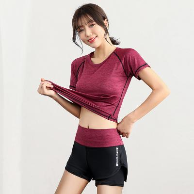 China China Cheap Women's Outdoor Sports Fashion High Waist Shorts Breathable Breathable Quick-Drying Jogging Yoga Pants for sale