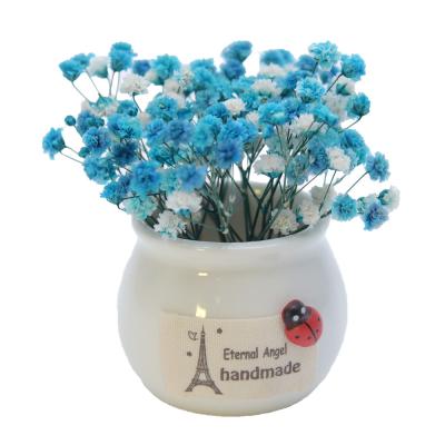 China Everlasting Flower Everlasting Flower Dried Gypsophila Flower Mini Car Aromatherapy Car Potted Decoration for sale