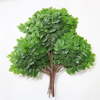 China New Arrival Environment Friendly Green Plants Plastic Leaves Artificial Carob Tree Leaves For Eco Friendly Garden Decoration for sale