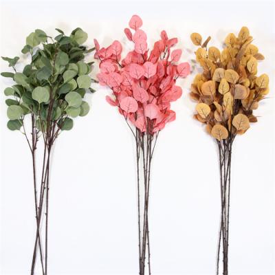 China High Simulation Hot Selling Multicolor Apple Eucalyptus Leaves Wedding Home Decor Real Touch Natural Apple Leaf for sale