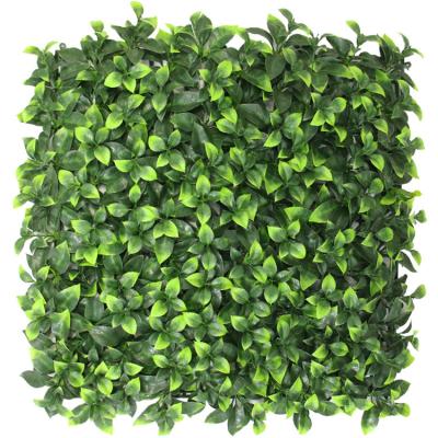 China Gardenia Leaf Lawn Wall Planting Environmentally Friendly Simulation Sun Proof Artificial Grass Wall Plant for sale