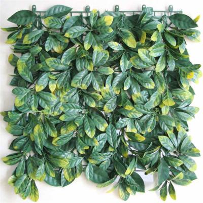 China High Quality Environmental Friendly Artificial Plant Wall Panel, Indoor Garden Decoration Artificial Wall Plant Outdoor for sale