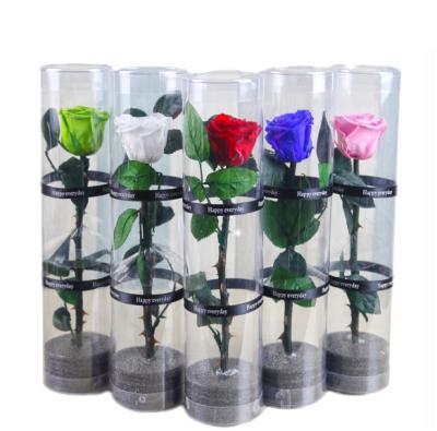 China Grace Wholesale Natural Gift 5-6 cm Touch Green Set Rose Preserved Eternal Flower for sale