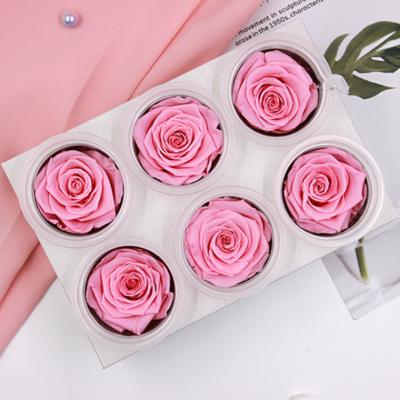 China Wholesale Bulk Eternal Wedding Elegant Rose Flower In Small Square Contact Box Valentines Day Gift Sets Natural Top Selling 5-6 cm for sale