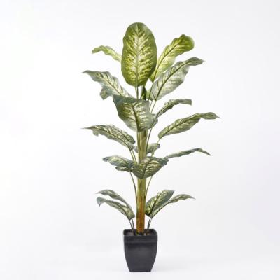 China Dieffenbachia 77*74*120cm most beautiful fake potted contemporary artificial Dieffenbachia trees in pp pot bonsai plants for indoor decorations for sale