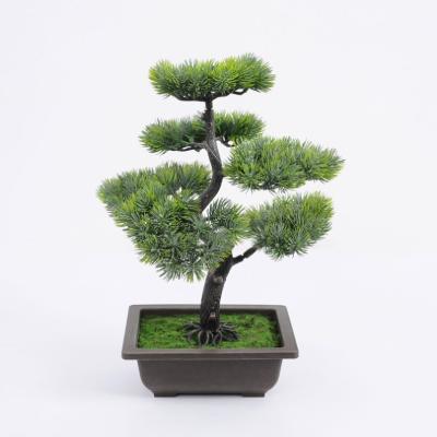 China Contemporary Artificial Plants Pinetree Bonsai Potted Fake Pinetree In PP Pot For Table Party Home Shop Decoration for sale