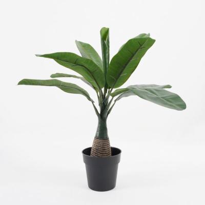 China Contemporary Artificial Potted Banana Trees Quality 43*43*39cm Big Fake Mini Banana Tree In PP Pot Bonsai Plants For Indoor Decorations for sale