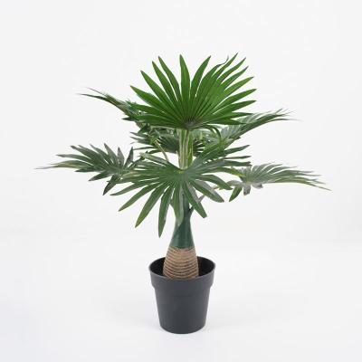 China Contemporary Artificial Kwei Trees Large Quality 41*38*40cm Potted Fake Kwei Leaves In PP Pot Bonsai Plants For Indoor Decorations for sale