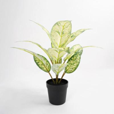 China 2021 Contemporary Artificial Leaf Greenery Potted Plants Fake Witnesses Rohdea Japan Quince 32*32*34cm in PP Pot for Indoor Decorations for sale