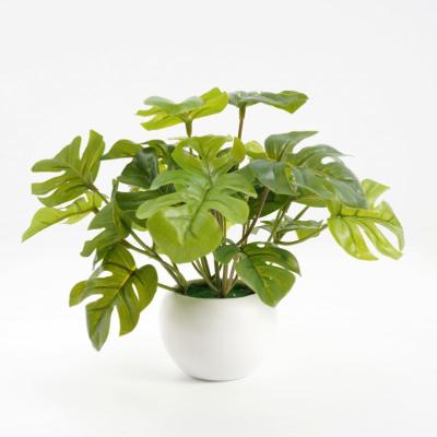 China Contemporary Artificial Monstera Leaves Nice Potted For Price 23*25*19cm Fake Monstera In PP Silk Pot Plants For Home Decorations for sale