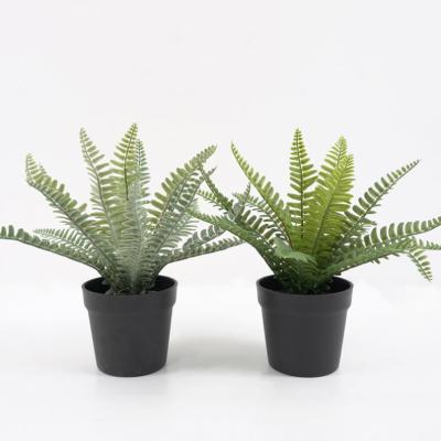 China Contemporary Artificial Fern Potted Small Fake Fern In PP Pot Bonsai Plants For Indoor Decorations for sale