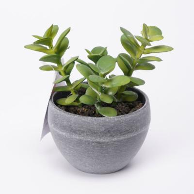 China Contemporary Artificial Succulents Plant 9*13.5cm Cute Potted Fake Mini Succulent In Fake Stone Pot for sale