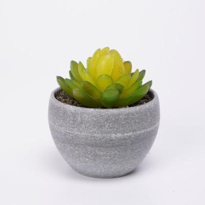 China Contemporary Premium Artificial Succulents Plant 8*8 cm Cute Potted Fake Series Mini Succulent In Minami Pot for sale