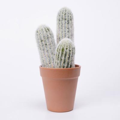 China Natural Looking Rustic Artificial Cactus Cylindrical Soft Spines Fake Plastic Plant 10*9.5*23cm Faux Cactus In PP Pot for sale