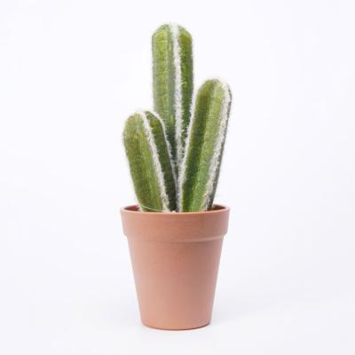 China Fake Rustic Artificial Cactus Plant 10.5*9.5*26cm Natural Looking Plastic Cactus In PP Pot for sale