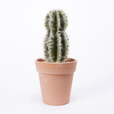 China Rustic Artificial Cactus Plastic Fake Plant Natural Looking Fake Spines 8*8*17cm Soft Cactus In PP Pot for sale