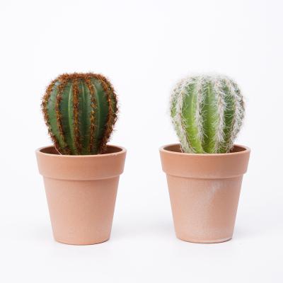 China Modern Artificial Cactus Faux Cacti Pot Looking Fake Plastic In PP New Natural Tropical Plant Office Wedding Modern Support Uncoated for sale