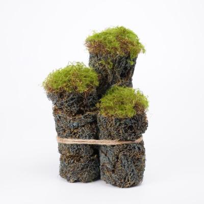 China 14*14*23.5CM*3 Shape Natural Special Fake Moss Pillar Traditional Artificial Moss Set 3 for sale