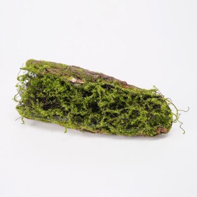 China Traditional Fake Moss Framed Faux Wooden Natural Deadwood Artificial GREEN 10.5*9*28CM For Garden Office Store Decoration 2880 Potted for sale