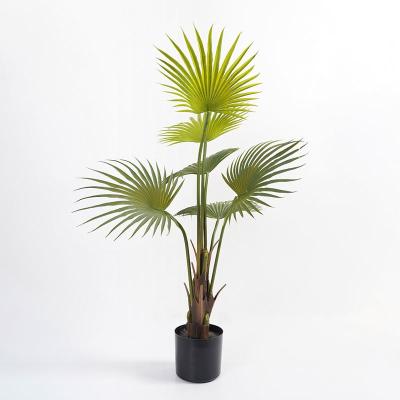 China 72*66*100cm Contemporary Artificial Palm Trees Potted Green Palm Tree In PP Pot Bonsai Trees For Home Decorations for sale