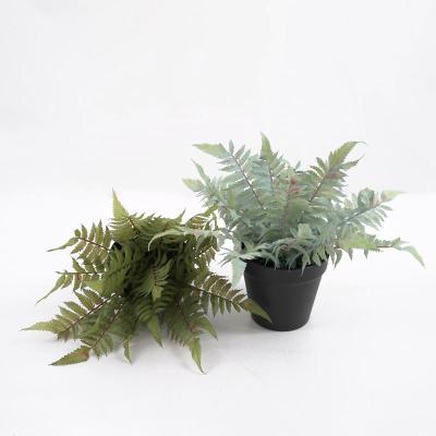 China Contemporary Artificial Fern Potted Small Fake Fern In PP Pot Bonsai Plants For Indoor Decorations for sale