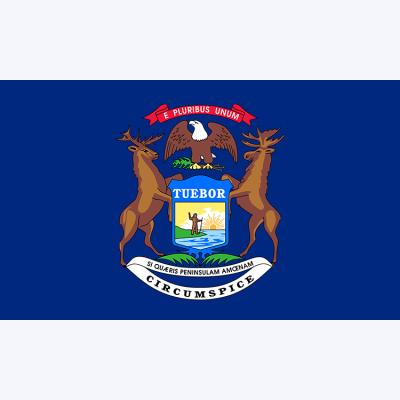 China Durable USA American State Michigan Country Flag Standard National Country Flag for sale