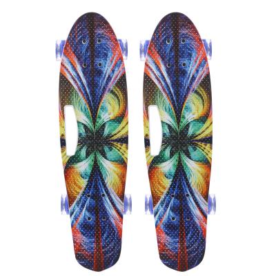 China Hot Selling Fish Board Comfortable Outdoor Activities Mountain Skate Type Boards Wholesale Color Plastic Skateboard for sale