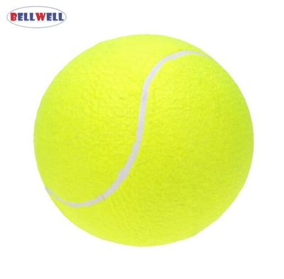 China Excellent Quality And Reasonable Price Sustainable Bellwell Eco - Friendly Ball For Pet Toy for sale