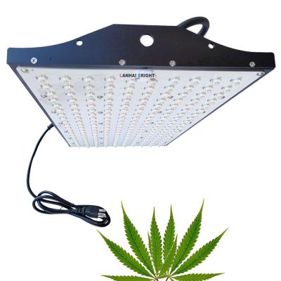 China Seed Starting Red Blue Pink 200watt P2000 Lanhai Hydroponic Greenhouse 200W Light Indoor Full Spectrum Led Grow Lights for sale