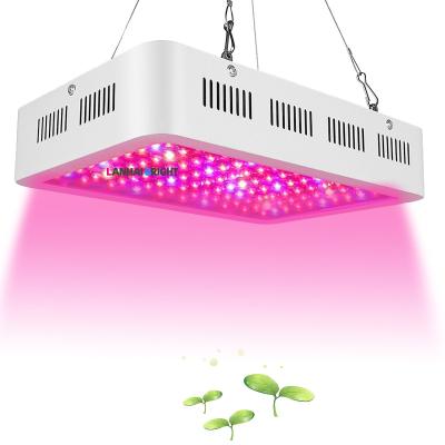 China Seed Starting Lighting Plant Professional 600W 1000W 1200W LED Grow Light Full Spectrum Grow Tent Kit With LED Complete Light for sale