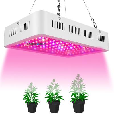 China Seed Starting Shenzhen Wholesale LED Grow Lighting 600W 1000W 1200W HPS Replacement Full Spectrum Led Grow Light For Indoor Plants for sale