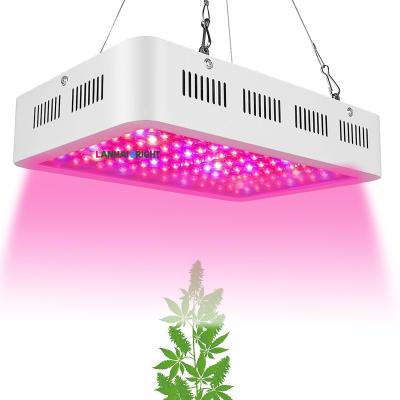 China Seed Starting Greenhouse Indoor Plant Horticultural Grow Tent LED Grow Lamp 1000W VEG FLOWER Dual Switch Full Spectrum LED Grow Light for sale