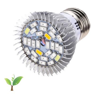 China Start From Seed Grow Bulb Full Spectrum e27 28w smd5730 Bulb Cup Type Grow LED Lighting For Pitaya Dragon Fruit for sale