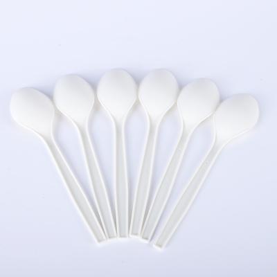 China Disposable Factory Directly Supply Biodegradable Disposable Tableware Spoons Are Often Used In Restaurants for sale