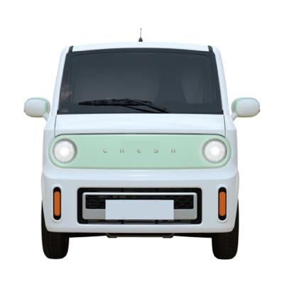 China China New China Fabric Logistics 1.5kw 3.3kw E-Charge Popular Adult Power Vehicle Electric Ev Cargo Van Car for sale