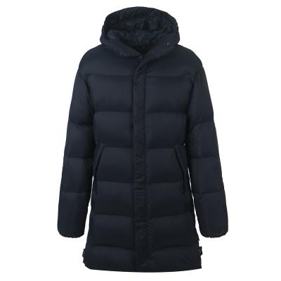 China OEM Custom Popular Winter Quilted Warm Ladies Long Sleeve Hooded Jacket For Women for sale