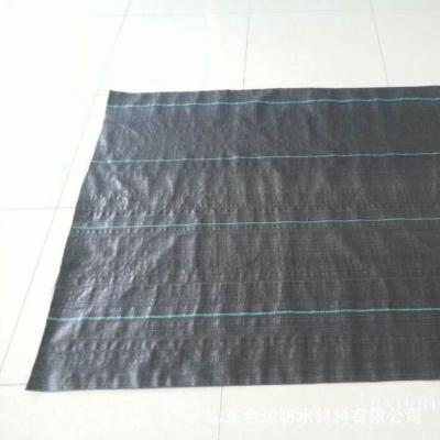 China Good Quality Anti-grass PP Woven Mat Fabric Ground Cover Weed for sale