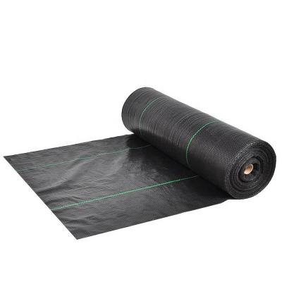 China Anti-grass Hot Sale Black Good Weed Control PP Woven Cloth Fence for sale