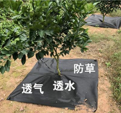 China Black Color PP Material Anti-grass Woven Fabric In Tubular Roll With For Agricultural Mulch Film for sale