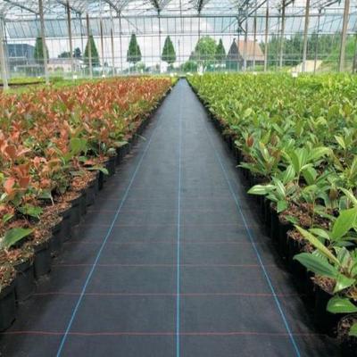 China Anti-grass Good Quality Factory Price Black PP Woven Weed Mat Fabric Ground Cover for sale