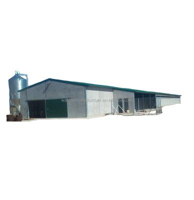 China Workshop Brolier Poultry Layer Steel Chicken Houses For Sale For South African Countries for sale