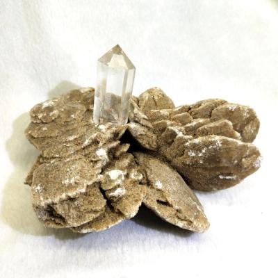 China Wholesale Raw Stone Desert Rose Selenite Specimen From Europe Beautiful For Decoration for sale